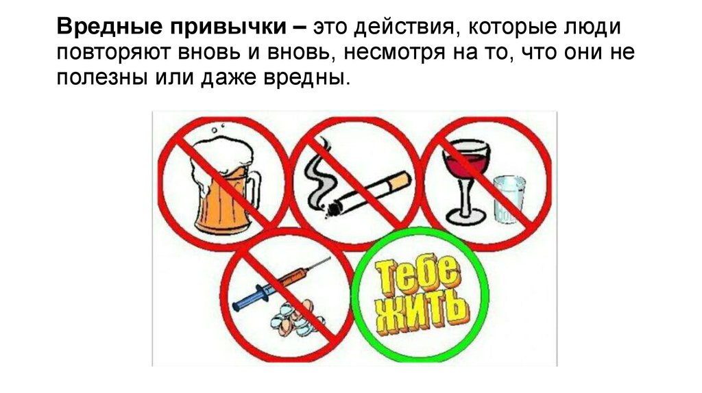Вредные и полезные привычки кошек