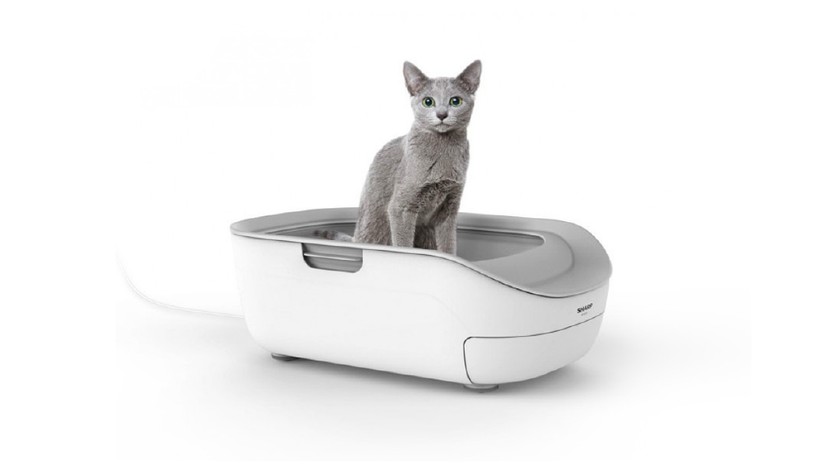 Туалеты для кошек самоочищающиеся: достоинства и недостатки автоматического кошачьего лотка