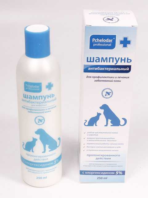 Шампунь для собак с хлоргексидином: рекомендации по применению