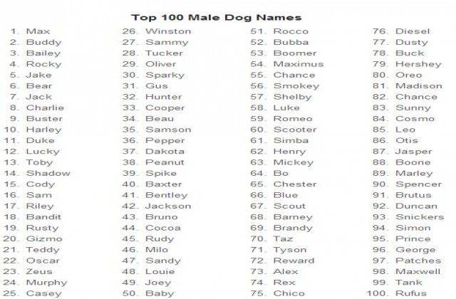 Редкие имена для собак