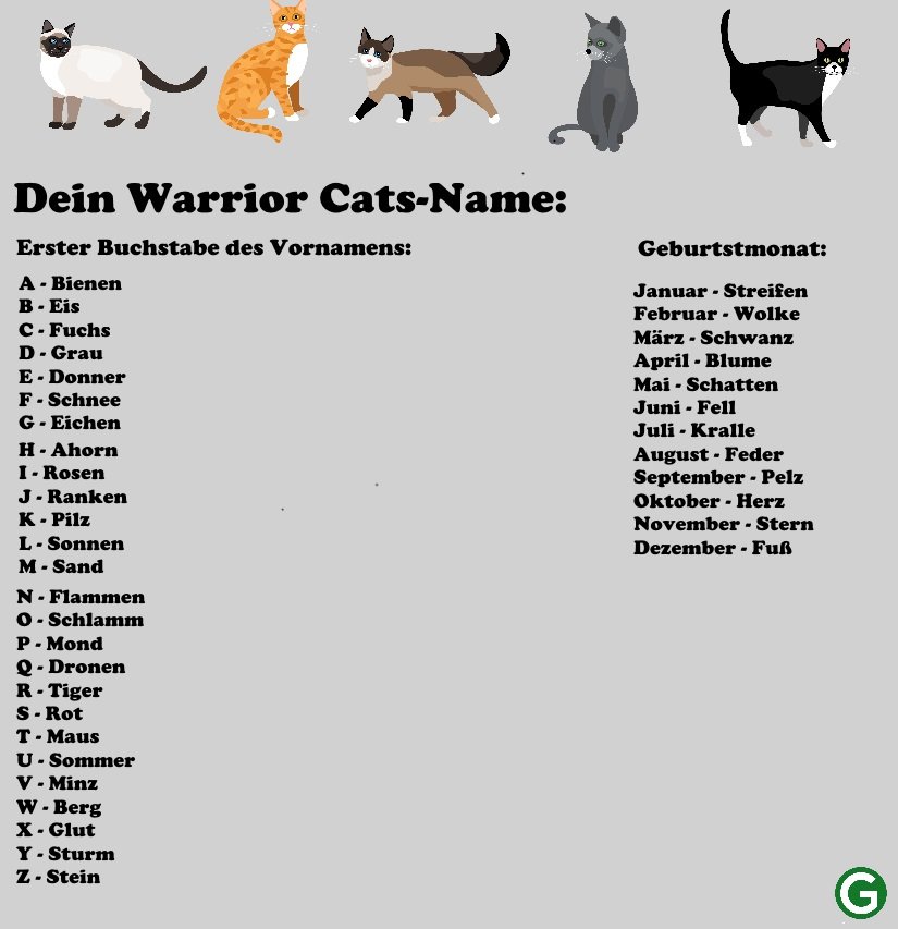 Подобрать имя котенку. Клички для котов. Имена для кошек. Имя для кошечки. Красивые имена для котов.