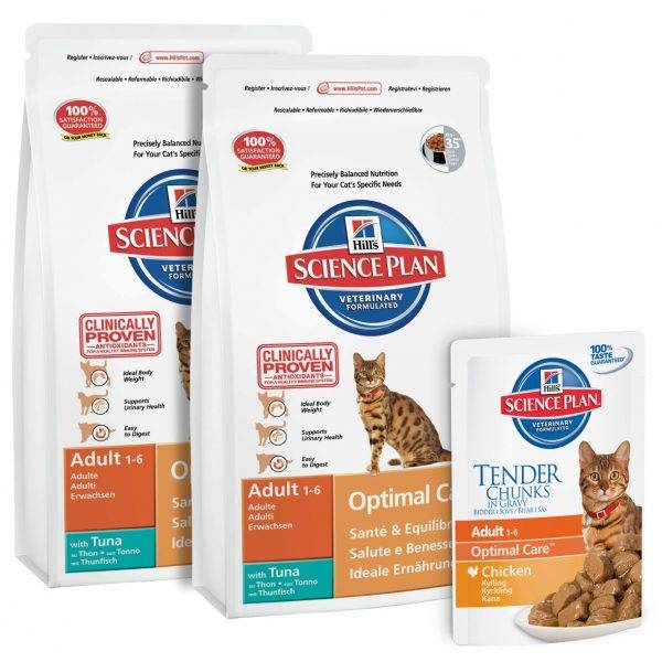 Now – корм для кошек и котят holistic-класса: состав разных продуктов бренда
