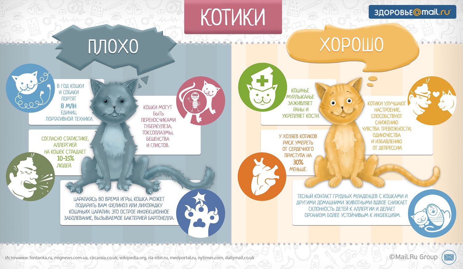 Помоги выбрать кота. Инфографика кошки. Плюсы и минусы кошек. Инфографика про животных. Инфографика о котах.