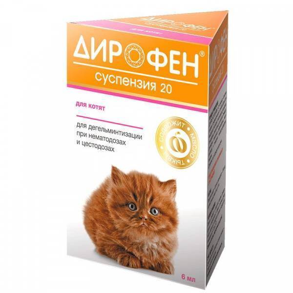 Дирофен для кошек: состав, форма выпуска, особенности применения