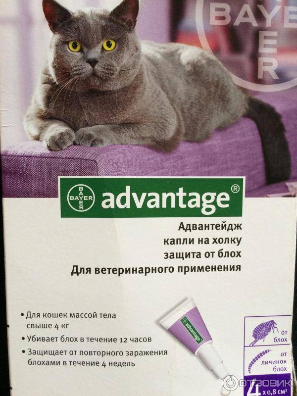 Адвантейдж для кошек: инструкция к каплям по уничтожению блох русский фермер