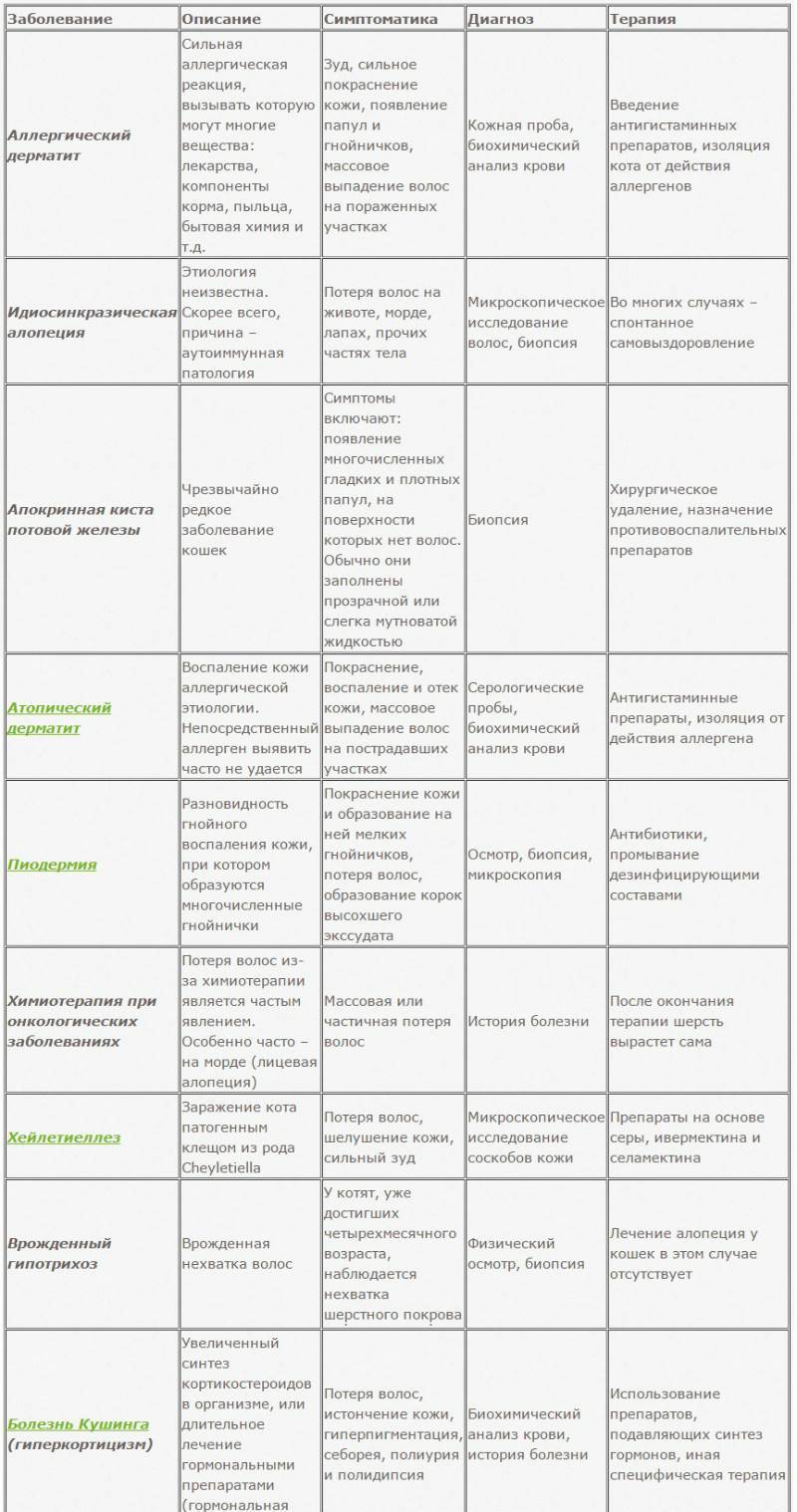 Болезни кошек: симптомы и лечение основных заболеваний | нпк "скифф"
