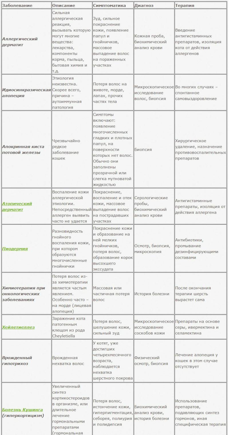 Заболевания у кошек симптомы и лечение