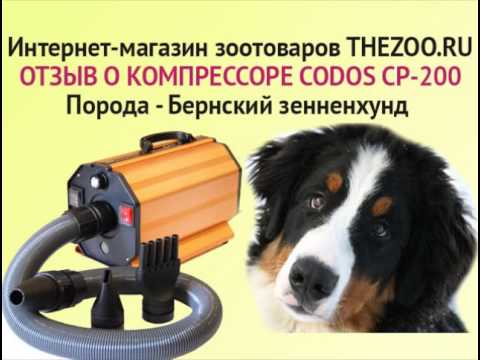 Покупка компрессора для собак на aliexpress: секреты и подводные камни
