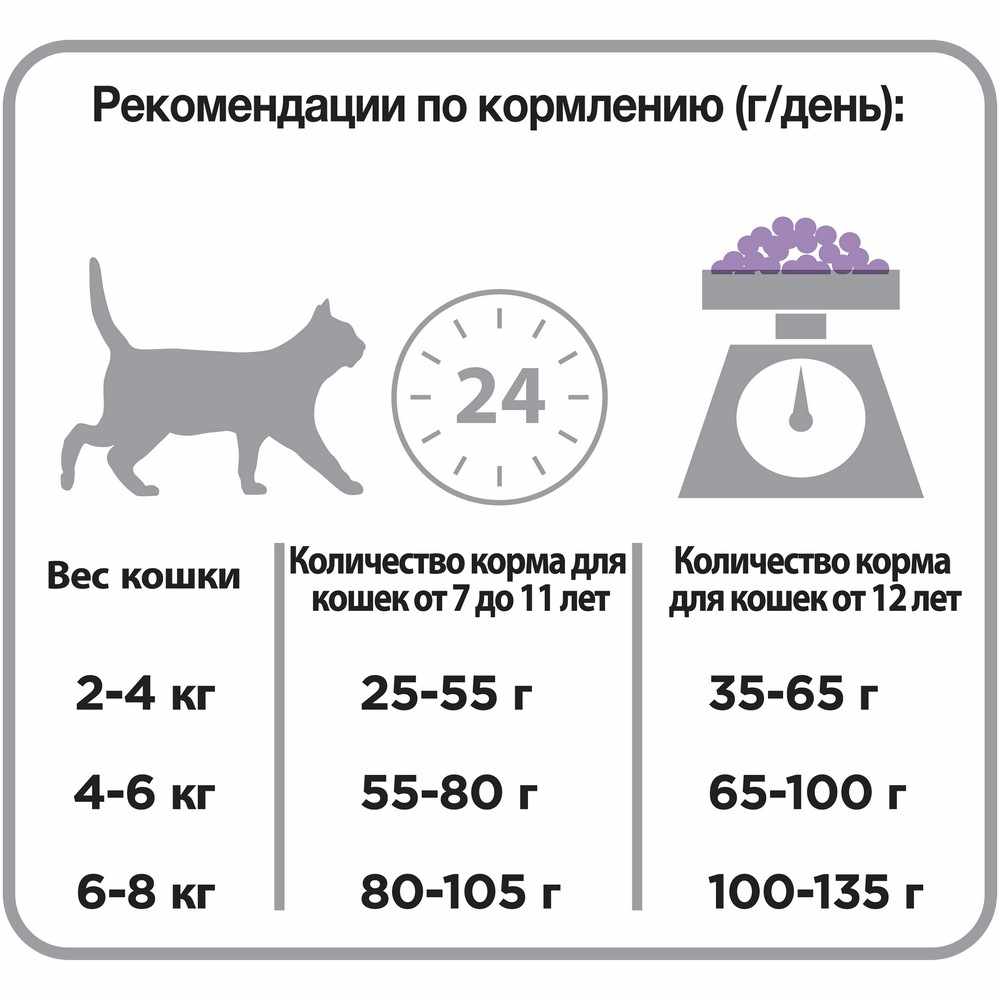 Какое количество сухих кормов является нормой для кошки в сутки: сводные таблицы