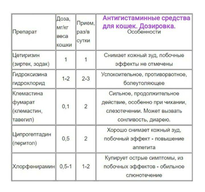 Аллергии дозировка. Дозировка антигистаминных препаратов для кошек. Дозы антигистаминных препаратов для собак. Дозировка антигистаминных препаратов для собак. Антигистаминные препараты для кошек от аллергии список дозировка.