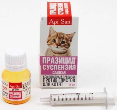 Описание антигельминтных средств для котят, что лучше давать от глистов