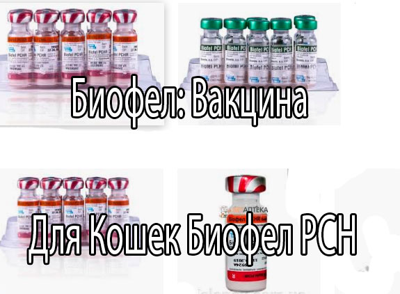 Вакцинация "ковивак", "спутник v", "эпиваккорона", "спутник лайт"