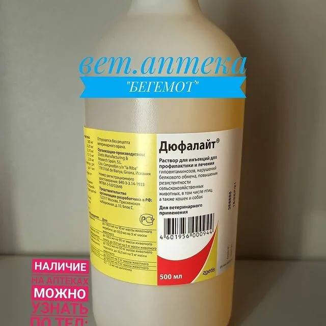 Дюфалайт кошкам – инструкция, дозировка и цена: советы +фото и видео
