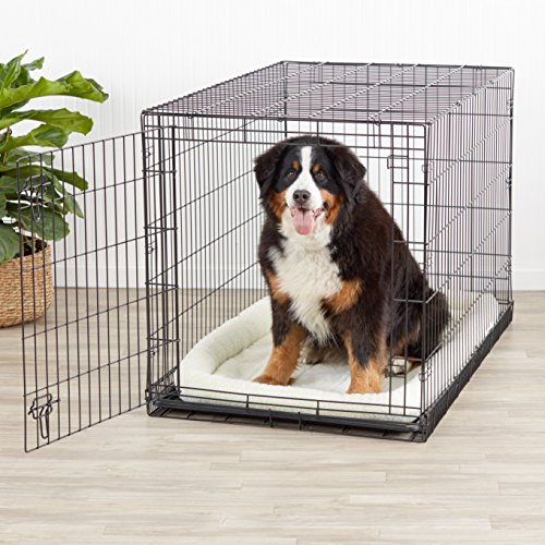 Недорогие клетки для собак в квартиру – обзор и инструкция для постройки