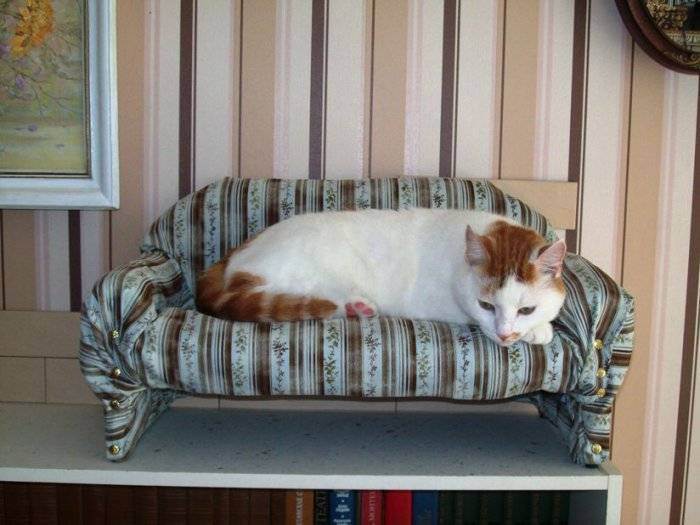 ♥ мебель для котов - дизайн дома вместе с кошкой - 73 фото ♥