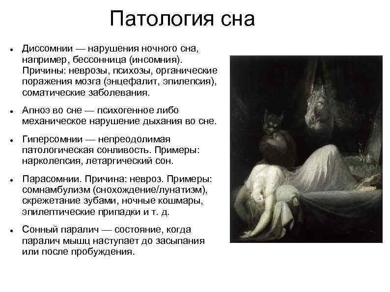 ᐉ айлурофилия или чрезмерная любовь к кошкам: болезнь ли это? - zoogradspb.ru