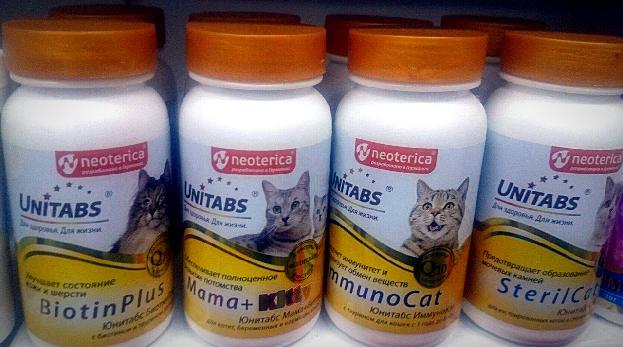 Жидкие витамины для кошек — какие лучше, состав, виды, отзывы ветеринаров