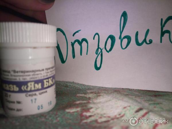 Обзор мазей от лишая для кошек – серной, салициловой и других, плюсы и минусы и правила применения