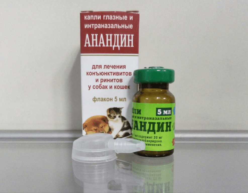 "анандин" для кошек: инструкция по применению