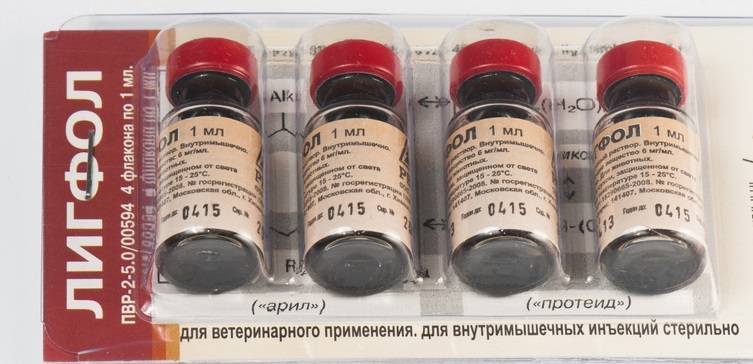 Лигфол: инструкция по применению для собак и кошек, показания и противопоказания