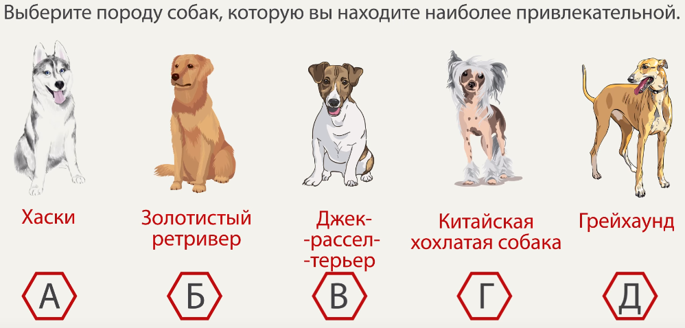 Тест на подходящую собаку