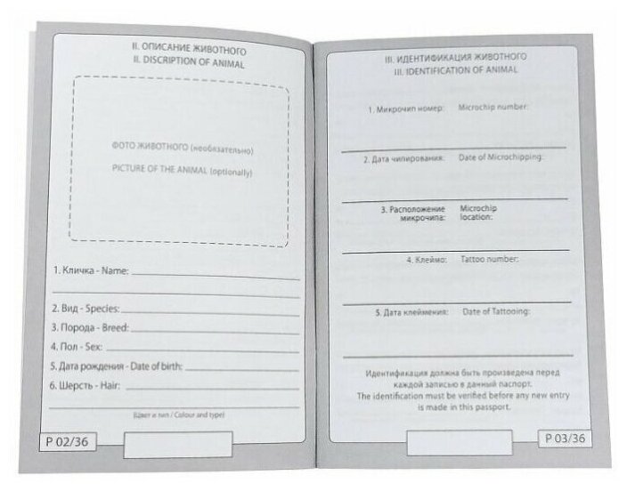 Как заполнять паспорт собаки образец