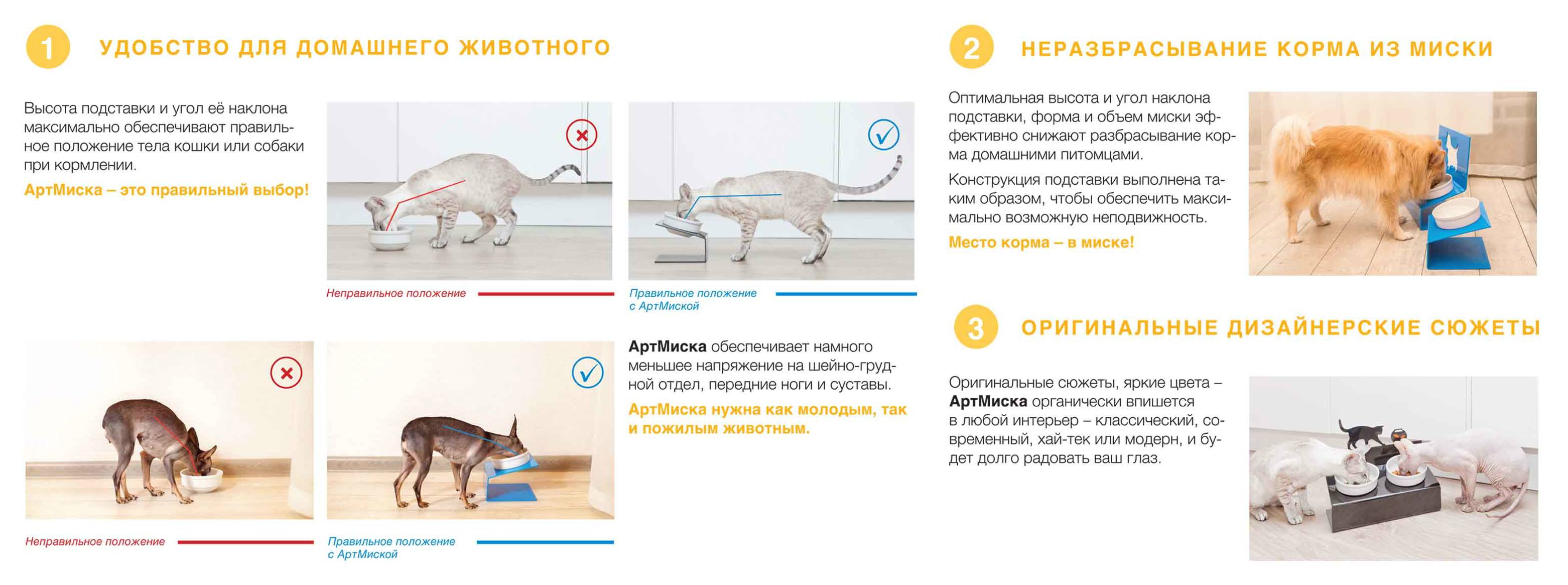 9 главных ошибок при кормлении собаки