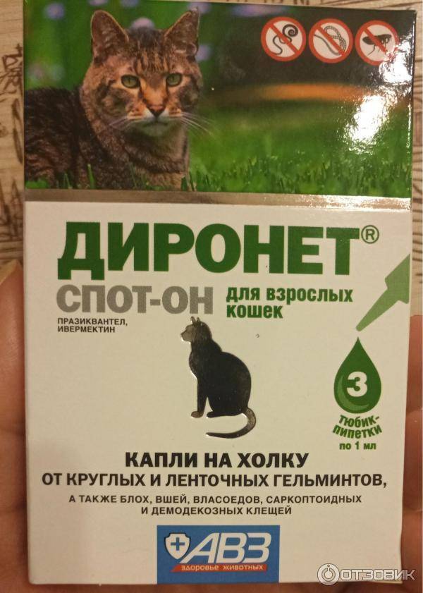 Инструкция по применению капель на холку «диронет спот-он» для взрослых кошек и котят