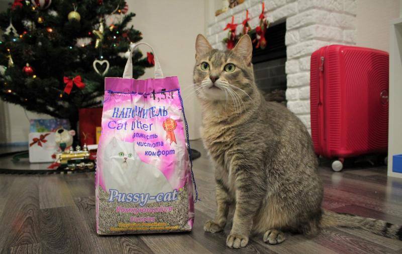 Наполнитель для лотка Pussy-Cat: производитель, свойства, отзывы