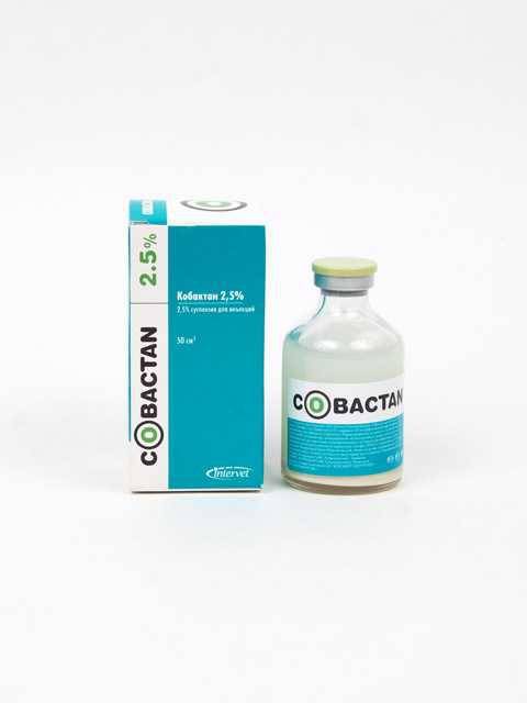 Ветом 11 (1): инструкция по применению для кошек, аналоги препарата, отзывы о лечении животных