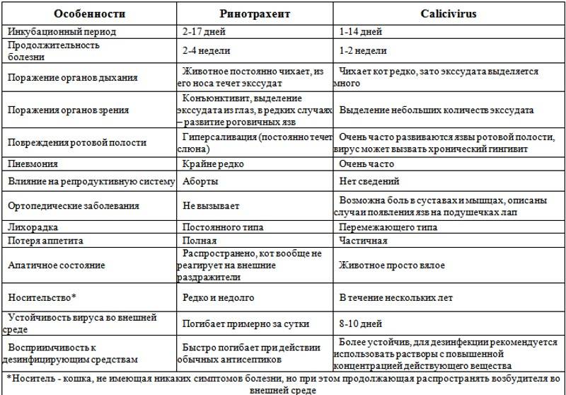 Ринотрахеит у котенка схема лечения