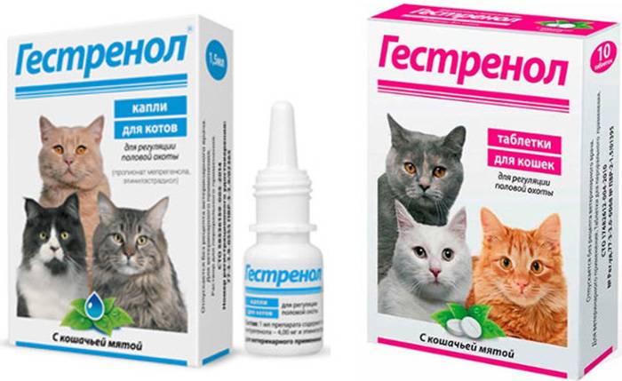 Капли для кошек от гуляния - обзор эффективных препаратов