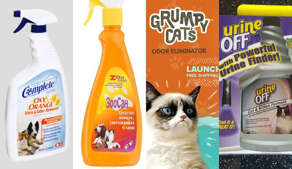 Чем мыть кошачий лоток, чтобы не было запаха мочи: советы хозяйкам