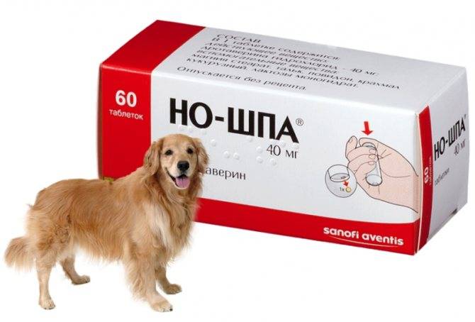 Инструкция по применению препарата но-шпа для собак