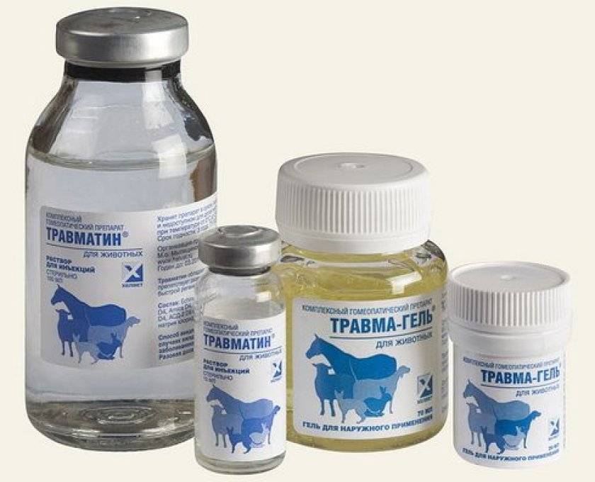 Препарат «травматин» для собак: инструкция по применению и отзывы владельцев