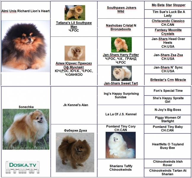 Персональные предпочтения и достоинства