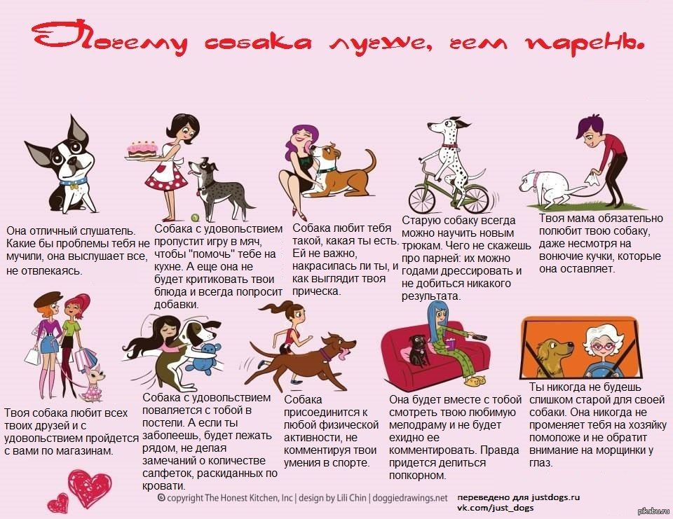 Кошки против собак: кого завести