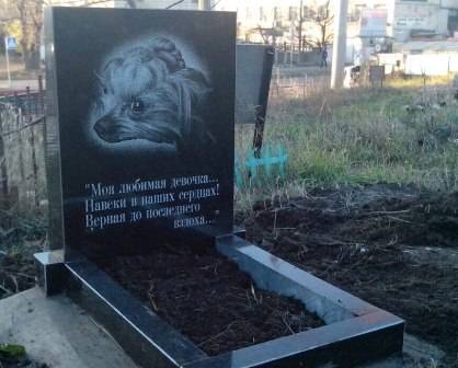 Как хоронят котов домашних в православии. где и как правильно похоронить кошку (деликатная тема)