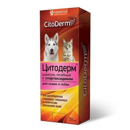 Инструкция по применению хлоргексидина у кошек. рассчитайте оптимальную дозу препарата. изучите широту антибактериального эффекта хлоргексидина для кошек. улучшите эффективность терапии на 200%