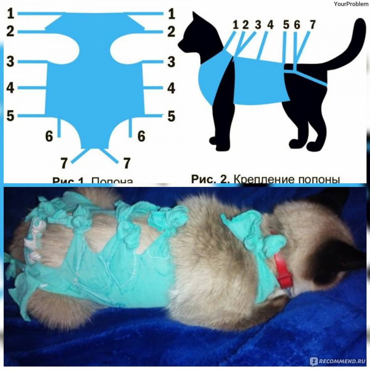Как правильно завязывать послеоперационную попону на кошке после стерилизации, можно ли сшить ее своими руками?