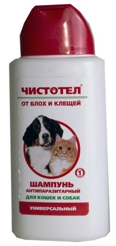 Как выбрать шампунь от блох для кошек - советы ветеринара