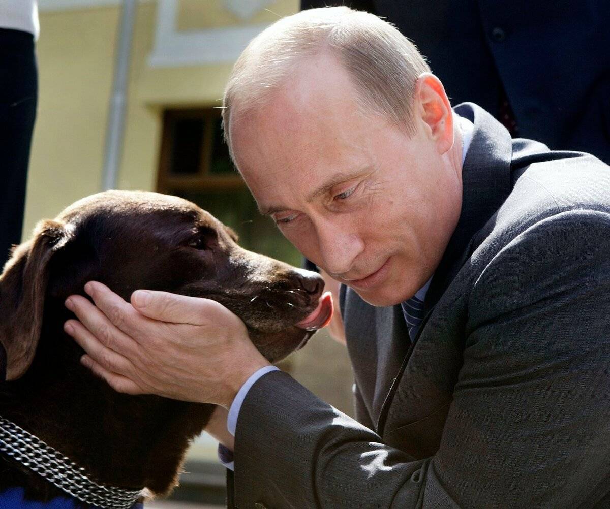 Собаки президента россии владимира путина