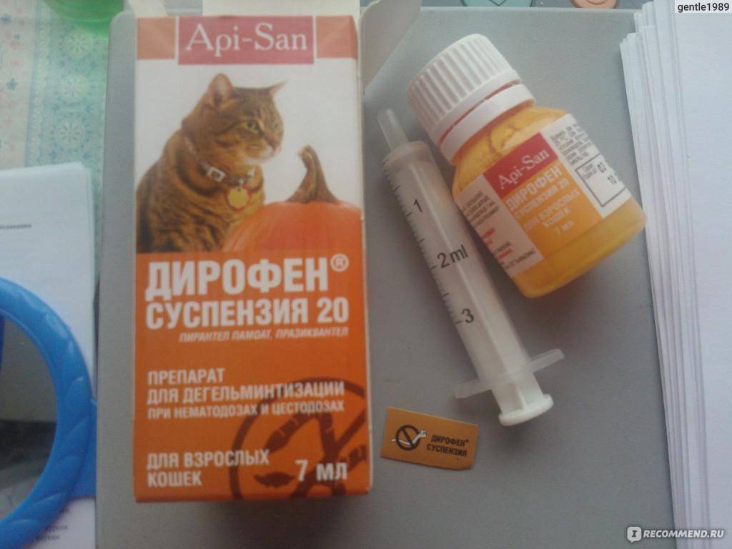 Как применять препарат кантарен при лечении кошек?