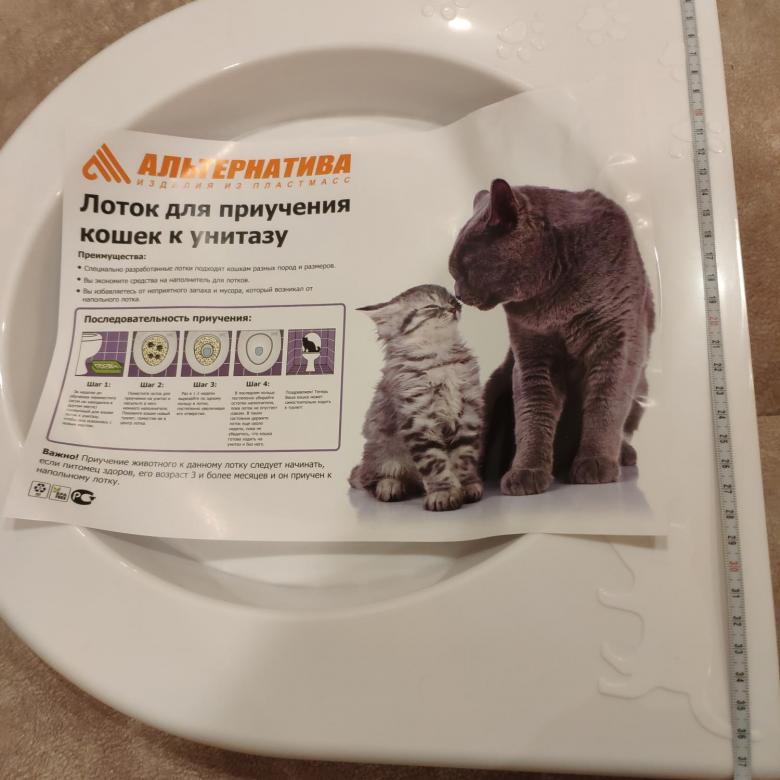 Как приучить котенка к туалету, если он не ходит в лоток