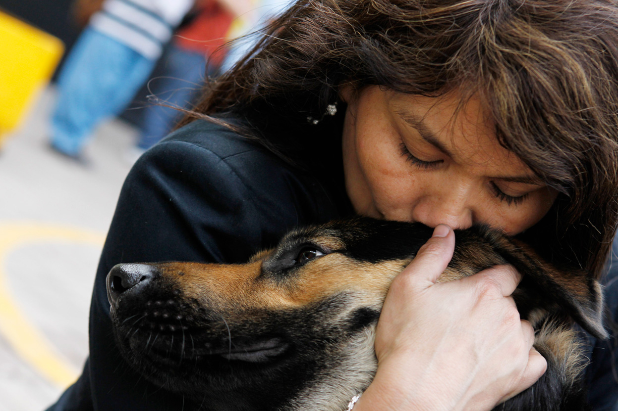 Самый лучший друг: может ли собака забыть хозяина - новости на sokol-online