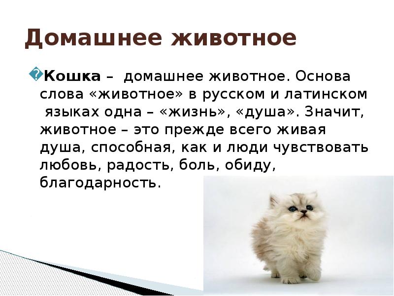 Кишечный и влагалищный микробиоценоз и его влияние на репродуктивное здоровье женщины
