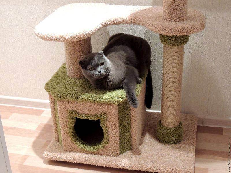 Домик для кошки своими руками (60 фото): можно сделать деревянный, построить из фанеры, свой самодельный дома, как выбрать