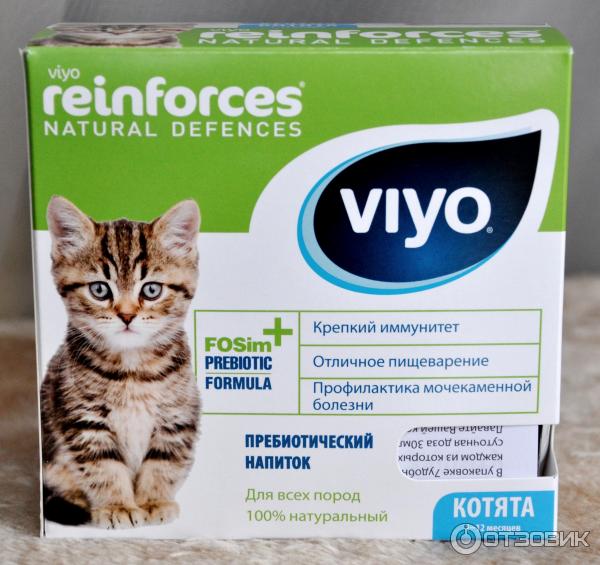 Пребиотик viyo: быстрое восстановление микрофлоры жкт у кошки