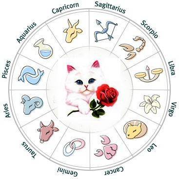 Какая вы кошка по знаку зодиака