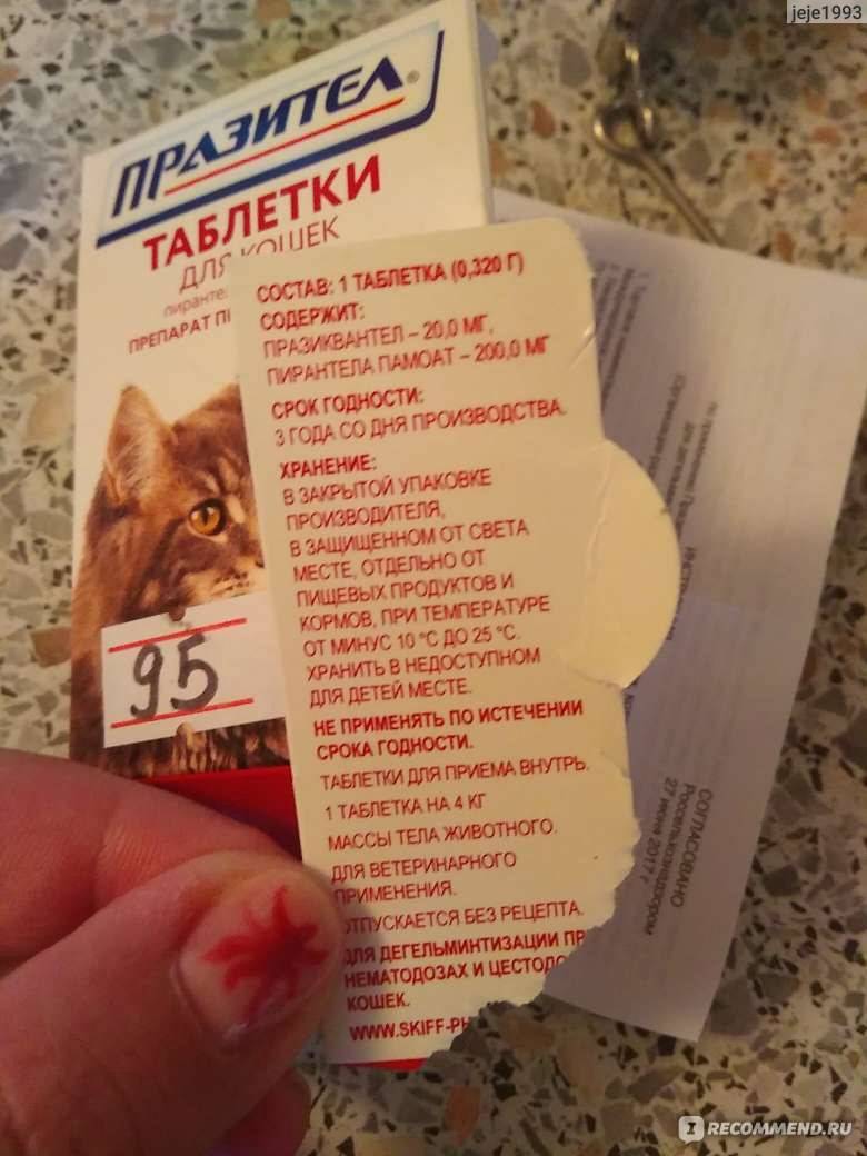 Глистогонные препараты для кошек